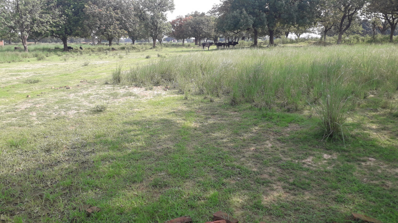 Commercial Land 1000 Sq. Yards for Sale in Mungari, Allahabad