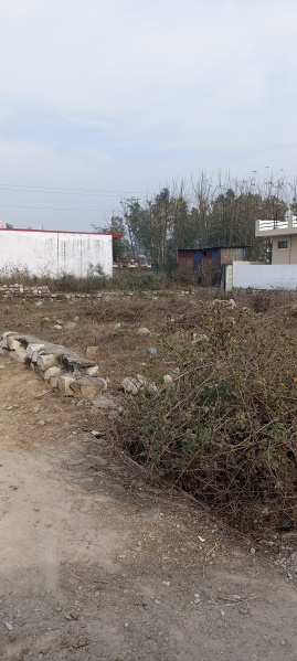 Commercial Land 6 Biswa for Sale in