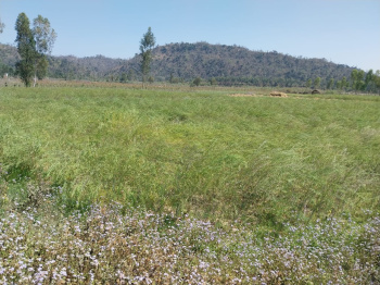  Agricultural Land for Sale in Herbertpur, Dehradun
