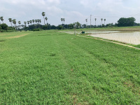 5 BHK Flat for Sale in Bihta, Patna