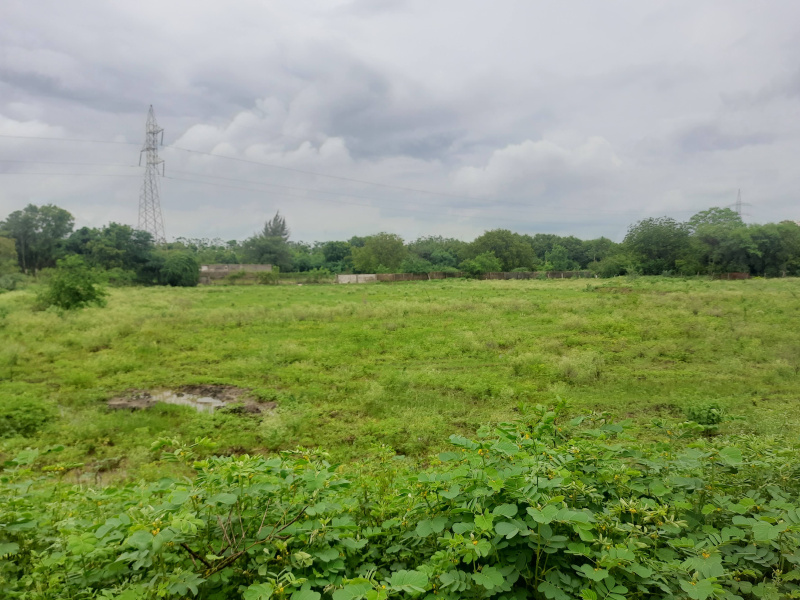 Agricultural Land for Sale in Shamirpet, Medchal (REI1181016)