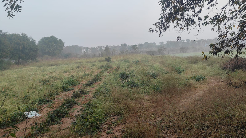 20 Guntha Agricultural/Farm Land for Sale in Bommalaramaram, Hyderabad