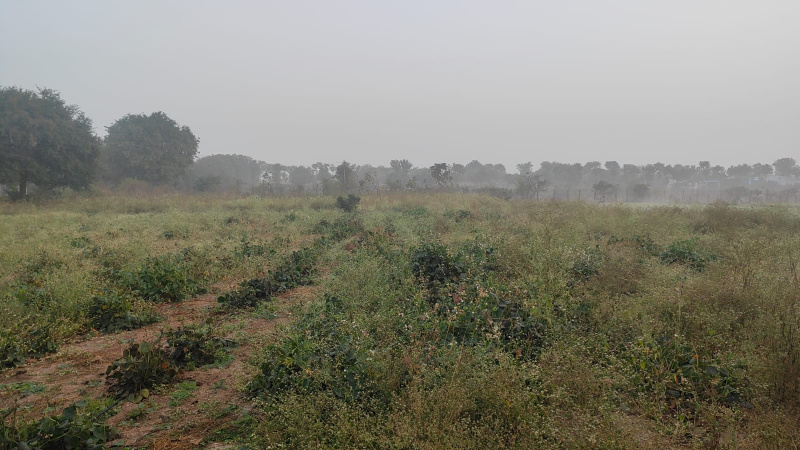  20 Guntha Agricultural/Farm Land for Sale in Bommalaramaram, Hyderabad