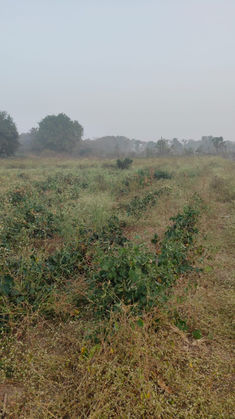  20 Guntha Agricultural/Farm Land for Sale in Bommalaramaram, Hyderabad