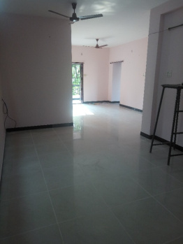 2 BHK Flat for Rent in R S Puram, Coimbatore