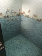 2 BHK Flat for Sale in Sector 32, Ludhiana