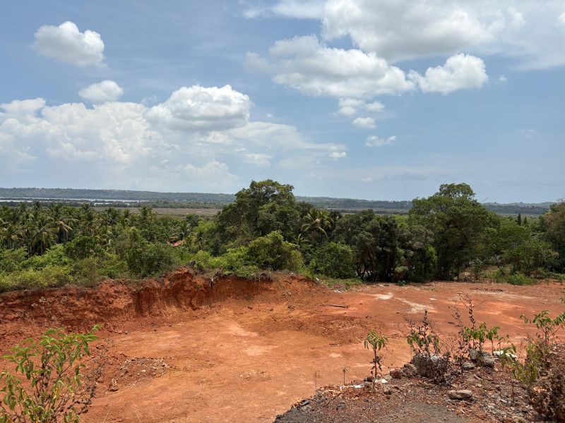  Industrial Land 8800 Sq. Meter for Sale in Parcem, North Goa, 