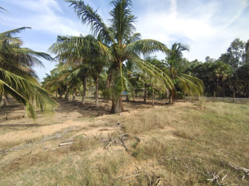  Agricultural Land for Sale in Gummidipoondi, Thiruvallur