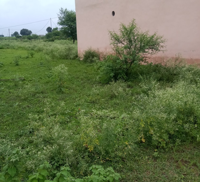  Residential Plot 800 Sq.ft. for Sale in Huzur, Bhopal