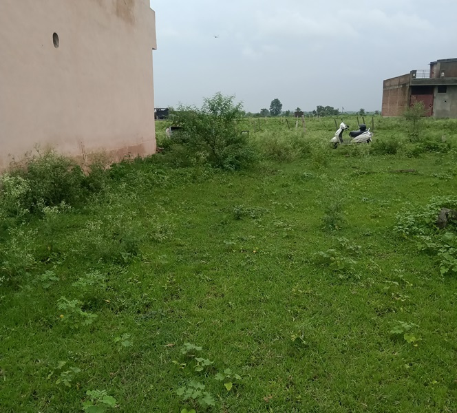  Residential Plot 800 Sq.ft. for Sale in Huzur, Bhopal