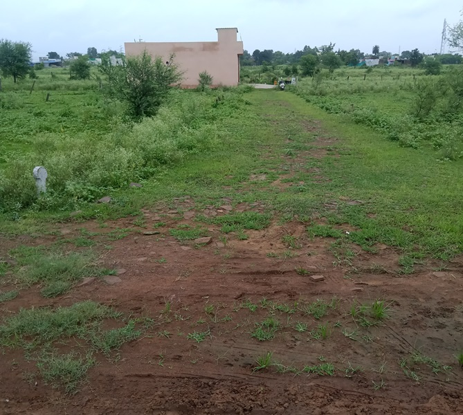  Residential Plot 800 Sq.ft. for Sale in Huzur, Bhopal