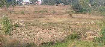  Agricultural Land for Sale in Ghatshila, Purbi Singhbhum