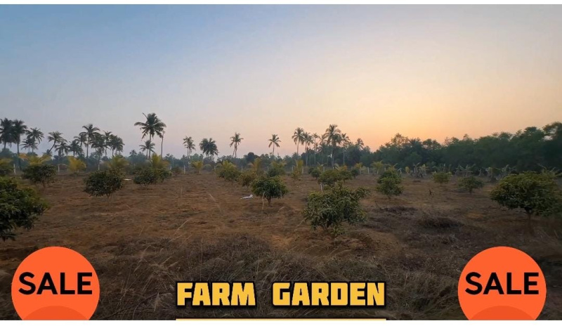 2 BHK 2 Acre Farm House for Sale in Indira Nagar, Berhampur