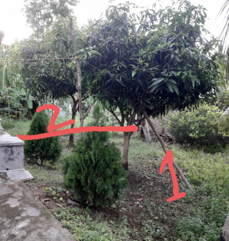  Residential Plot for Sale in Ghatal, Medinipur
