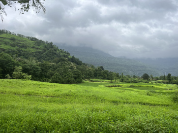  Agricultural Land for Sale in Waje, Raigad