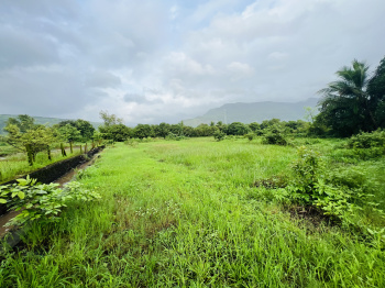  Agricultural Land for Sale in Karjat, Raigad
