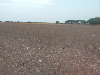 Agricultural Land for Sale in Kakkalapalli, Anantapur