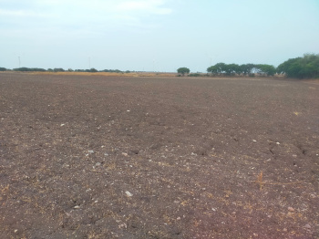  Agricultural Land for Sale in Kanaganapalli, Anantapur