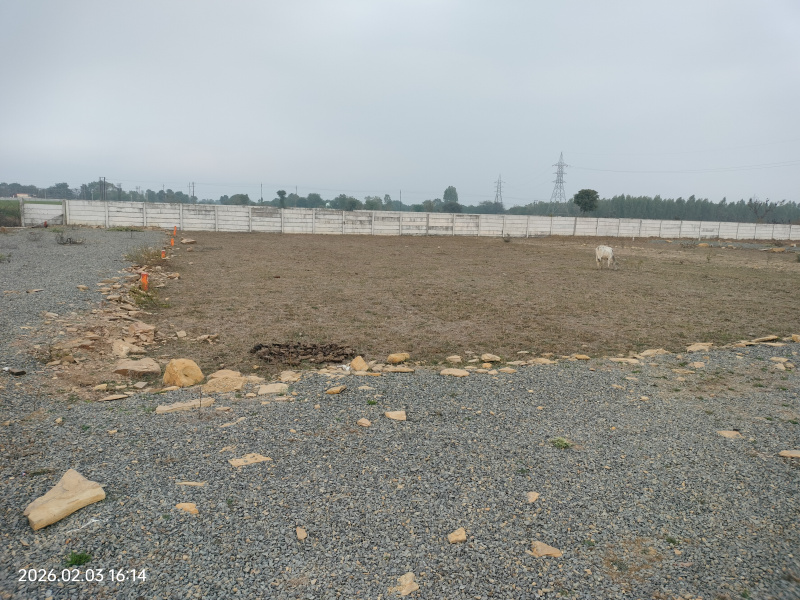  1200 Sq.ft. Residential Plot for Sale in Bagha, Satna