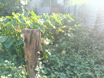  Residential Plot for Sale in Hatigaon, Guwahati