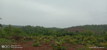  Agricultural Land for Sale in Dapoli Camp, Ratnagiri
