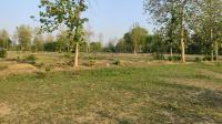  Agricultural Land for Sale in Salon, RaeBareli