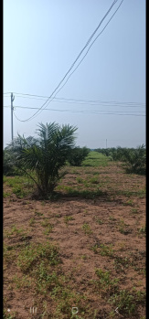  Agricultural Land for Sale in Chityal, Nalgonda