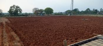  Agricultural Land for Sale in Heggadadevana Kote, Mysore