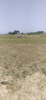  Residential Plot for Sale in Sunhat, Baleswar