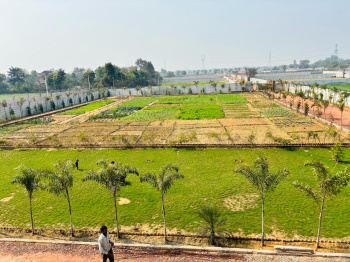  Agricultural Land for Sale in Sultanpur, Gurgaon