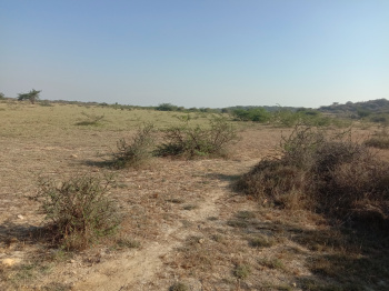 Agricultural Land for Sale in Mithapur, Dwarka