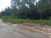  Residential Plot for Sale in Galore, Hamirpur