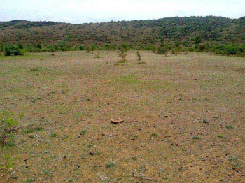  Residential Plot for Sale in Amar Shaheed Path, Lucknow