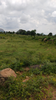  Agricultural Land for Sale in Shoolagiri, Hosur