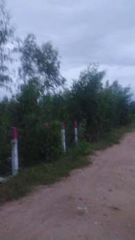  Agricultural Land for Sale in Shoolagiri, Hosur