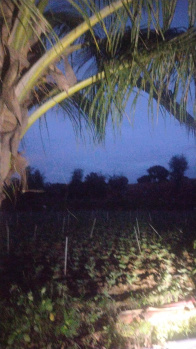  Agricultural Land for Sale in Begapalli, Hosur