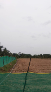 Agricultural Land for Sale in Mathigiri, Hosur