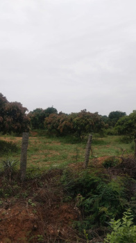  Agricultural Land for Sale in Chennathur, Hosur
