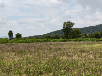  Agricultural Land for Sale in Shoolagiri, Hosur
