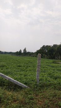  Agricultural Land for Sale in Shoolagiri, Hosur