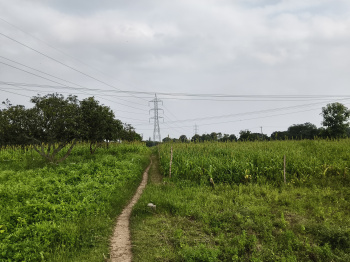  Agricultural Land for Sale in Shoolagiri, Hosur