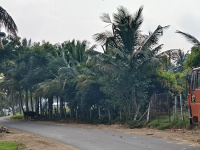  Agricultural Land for Sale in Pochampalli, Krishnagiri