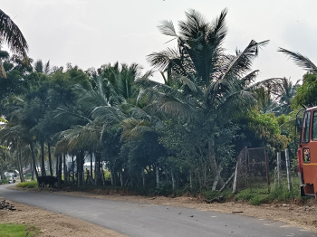 Agricultural Land for Sale in Pochampalli, Krishnagiri