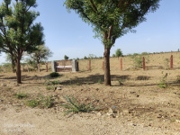 Residential Plot for Sale in Rani, Pali