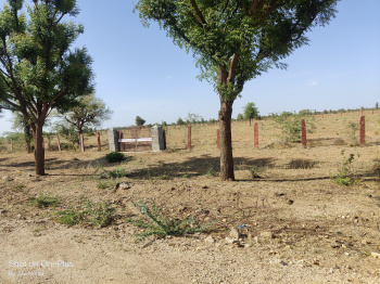  Residential Plot for Sale in Rani, Pali