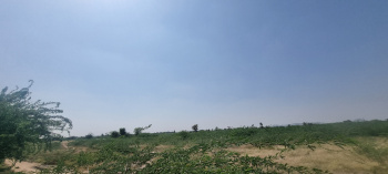  Agricultural Land for Sale in Rani, Pali