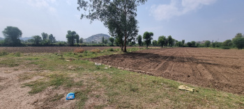  Agricultural Land for Sale in Sadri, Pali