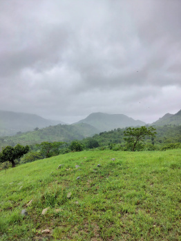  Agricultural Land for Sale in Kumbhalgarh, Rajsamand