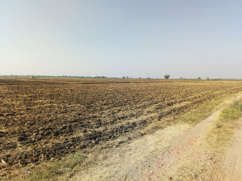  Agricultural Land for Sale in Dholka, Ahmedabad