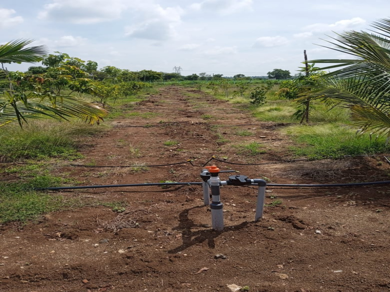  Agricultural Land 25 Cent for Sale in Siruganur, Tiruchirappalli